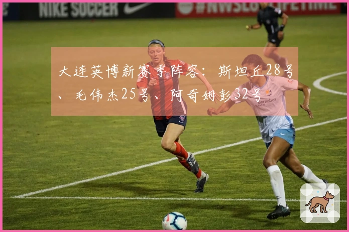 大连英博新赛季阵容：斯坦丘28号、毛伟杰25号、阿奇姆彭32号