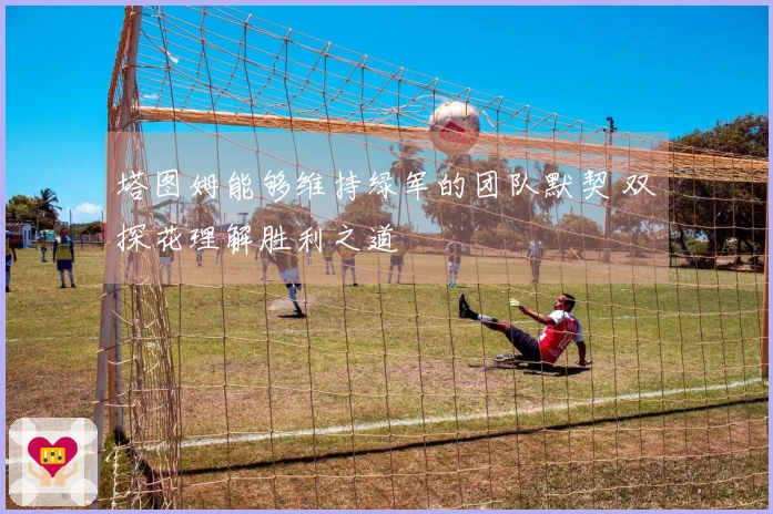 塔图姆能够维持绿军的团队默契 双探花理解胜利之道