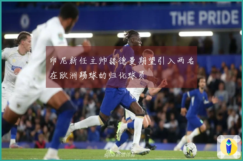 印尼新任主帅赫德曼期望引入两名在欧洲踢球的归化球员